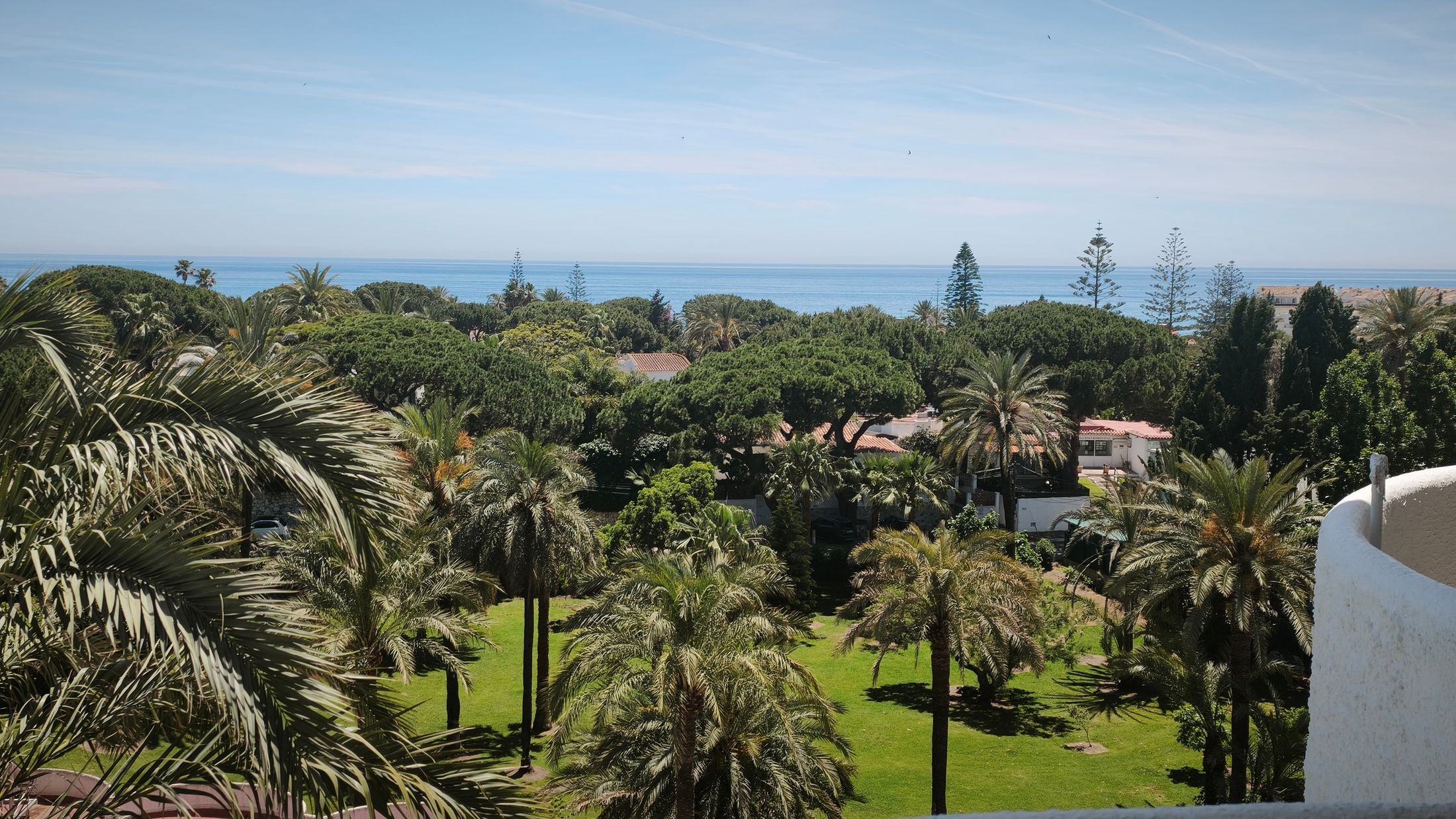 Blick von der Terrasse über Palmen, den Garten und benachbarte Häuser bis zum Mittelmeer